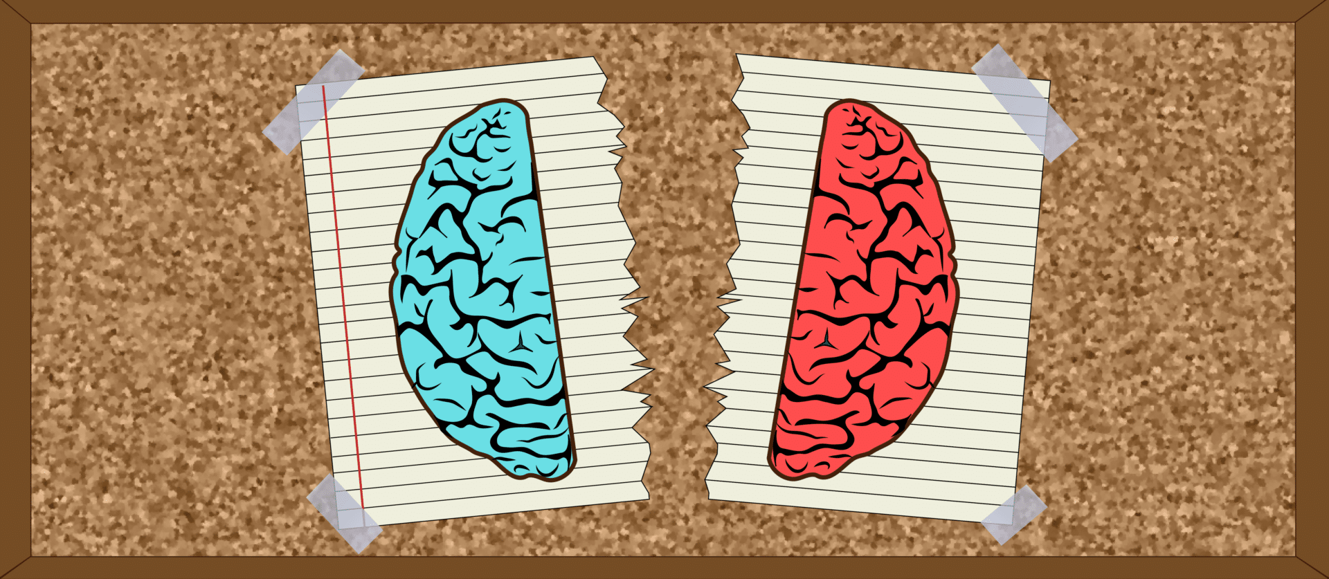 A Picture of the Left Brain and Right Brain Split Symbolizing The Viewpoint Diversity Movement's History