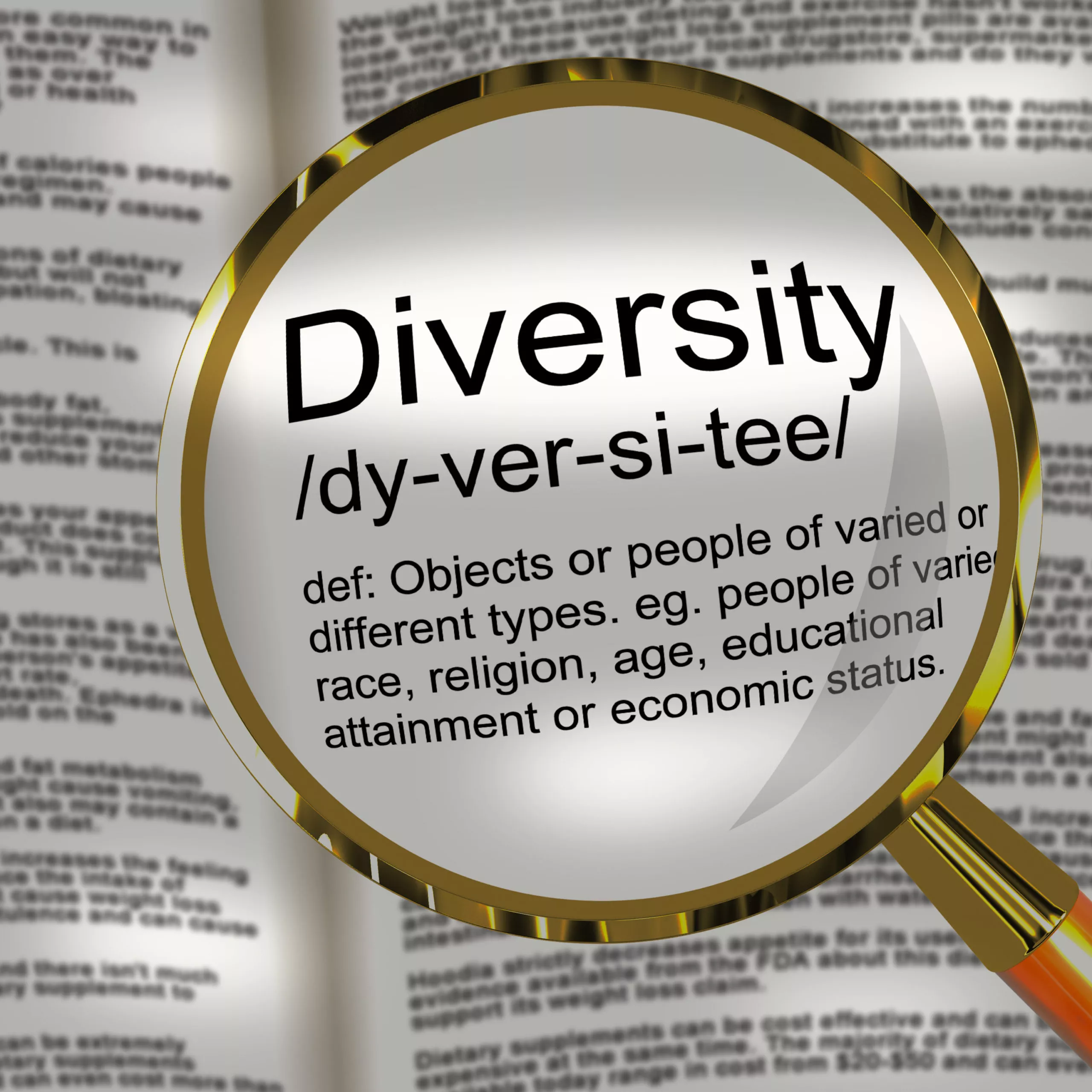 Diversity definition in the dictionary